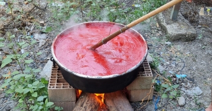 SALÇA KAZANLARI KAYNAMAYA BAŞLADI