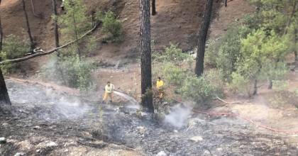 ORMAN YANGINI BÜYÜMEDEN SÖNDÜRÜLDÜ