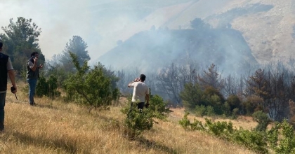 MANİSA'DA ORMAN YANGINI