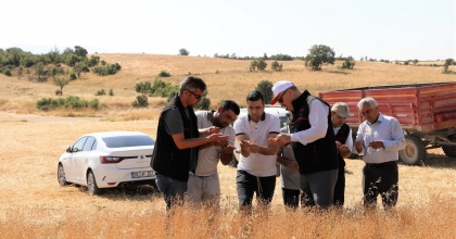 KETEN HASADI BAŞLADI