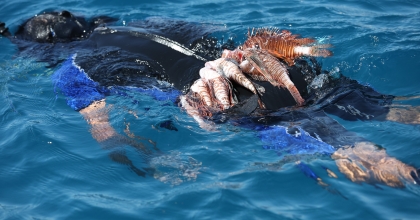 ASLAN BALIĞI AVLAMA YARIŞMASI DÜZENLENDİ