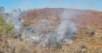 GEÇEN YIL YANAN ORMAN YİNE YANDI
