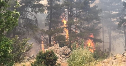 ORMAN YANGININA YOĞUN MÜDAHALE SÜRÜYOR