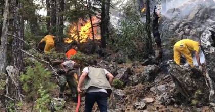 45 HEKTAR ORMAN KÜL OLDU