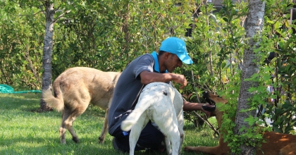 MANİSA'DA YÜREK ISITAN GÖRÜNTÜ