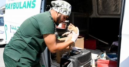 SAHİPSİZ CAN DOSTLAR ŞEFKATLİ ELLERDE