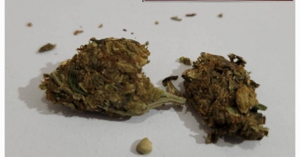 OTOBÜSTE SEYAHAT EDERKEN UYUŞTURUCUYLA YAKALANDU