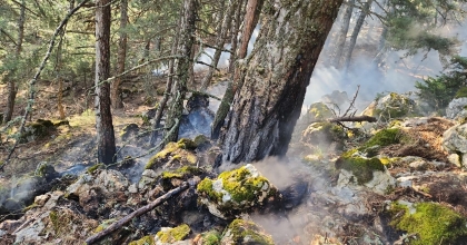 DAĞA DÜŞEN YILDIRIM ORMAN YANGINI ÇIKARDI
