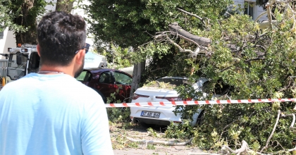 ASIRLIK ÇINARIN KIRILAN DALI 5 ARACA HASAR VERDİ