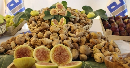 AYDIN'DA SEZONUN İLK KURU İNCİRİ 350 LİRADAN SATILDI