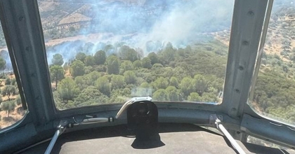 AYDIN'DAKİ ORMAN YANGINI BÜYÜMEDEN SÖNDÜRÜLDÜ