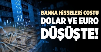 BANKA HİSSELERİ COŞTU