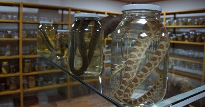 BU MÜZE DİĞERLERİNDEN FARKLI