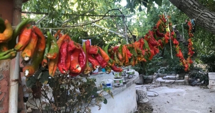 BULDAN’DA KIŞLIK ÜRÜNLER KURUTULMAYA BAŞLADI