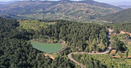 BURASI KARADENİZ DEĞİL AYDIN