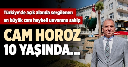 CAM HOROZ 10 YAŞINDA…