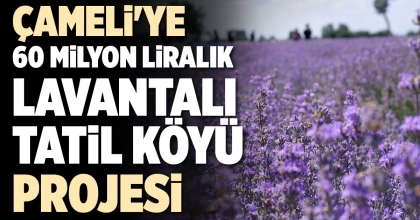 ÇAMELİ'YE 60 MİLYON LİRALIK LAVANTALI TATİL KÖYÜ PROJESİ