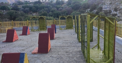 CAN DOSTLAR YENİ YUVALARINA KAVUŞUYOR