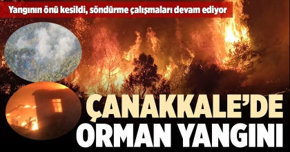 ÇANAKKALE’DE ORMAN YANGINI