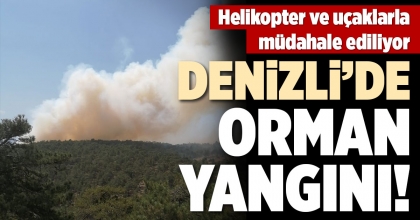 DENİZLİ'DE ORMAN YANGINI!