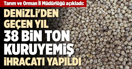 DENİZLİ'DEN GEÇEN YIL 38 BİN TON KURUYEMİŞ İHRACATI YAPILDI 