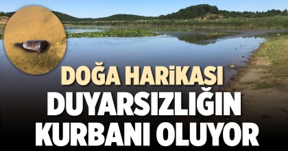 DOĞA HARİKASI DUYARSIZLIĞIN KURBANI OLUYOR