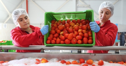 EFE KADINLAR ÜRETİYOR, İŞLİYOR, HALKA SUNUYOR   