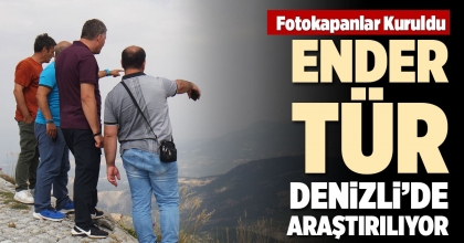 ENDER TÜR DENİZLİ’DE ARAŞTIRILIYOR