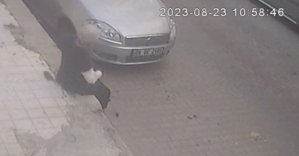 İZMİR’DE KORKUNÇ OLAY: FARENİN ISIRDIĞI KADIN HASTANELİK OLDU 