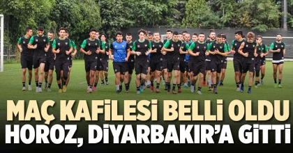 HOROZ, DİYARBAKIR’A GİTTİ