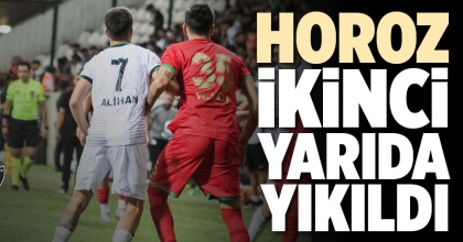 HOROZ İKİNCİ YARIDA YIKILDI