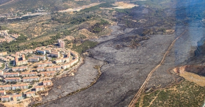 İZMİR’DE BİR MAHALLE ORMAN YANGINI KORKUSUYLA YAŞIYOR 
