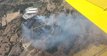 İZMİR MENEMEN'DE ORMAN YANGINI