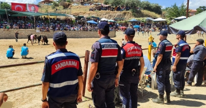 JANDARMA BOĞA GÜREŞİNDE TEDBİRİ ELDEN BIRAKMADI