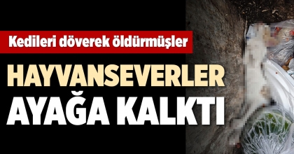 KEDİLERİ DÖVEREK ÖLDÜRMÜŞLER