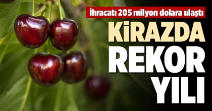 KİRAZDA REKOR YILI