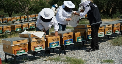 KÜRESEL ISINMA ARICILARI ALTERNATİF ÜRÜNLERE YÖNELTTİ