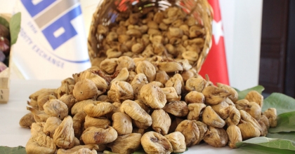 KURU İNCİR ADETA DOLAR BASTI, 121 ÜLKEYE 241 MİLYON DOLARLIK İHRACAT YAPILDI   