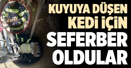 KUYUYA DÜŞEN KEDİ İÇİN SEFERBER OLDULAR