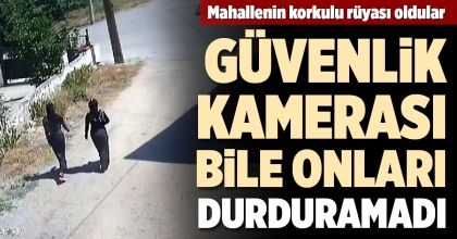 MAHALLENİN KORKULU RÜYASI OLDULAR