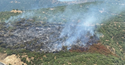 ARAÇ YANGINI ORMANA SIÇRADI, HAVADAN MÜDAHALE BAŞLADI