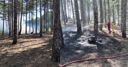 MİLLİ PARKTA ÇIKAN ORMAN YANGINI BÜYÜMEDEN SÖNDÜRÜLDÜ