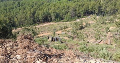 MUĞLA'DA ORMAN KESİM ALANINDA İŞ KAZASI: 1 ÖLÜ
