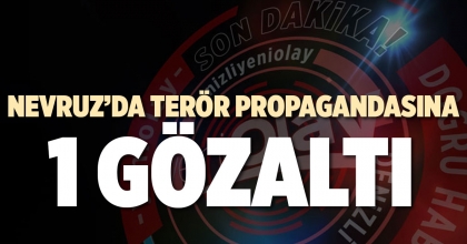 NEVRUZ’DA TERÖR PROPAGANDASINA 1 GÖZALTI