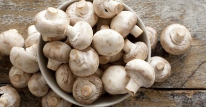 Rüyada Mantar Görmek Ne Anlama Gelir?