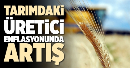 TARIMDAKİ ÜRETİCİ ENFLASYONUNDA ARTIŞ