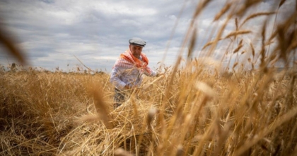 TARIMSAL DESTEKLEME ÖDEMELERİ BUGÜN YAPILACAK