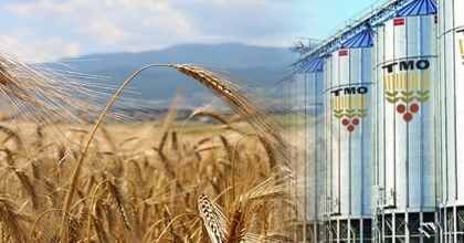 TMO’DAN ALIM REKORU