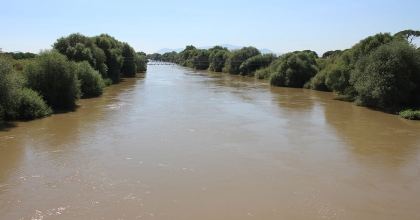 ÜRETİCİLER, MENDERES NEHRİ'NDEKİ SU SEVİYESİNDEN MEMNUN