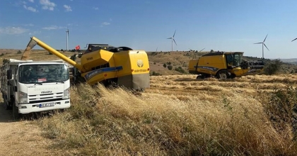 UŞAK'TA TRİTİKALE ÜRETİMİNDEN OLUMLU SONUÇ ALINDI